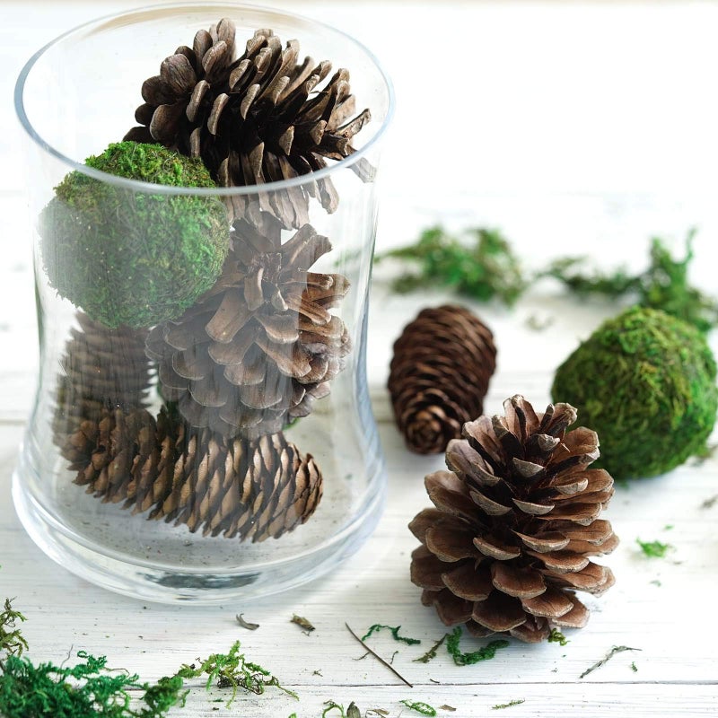 Dycica Farmoo Moss Balls Preserved All Natural, 3.5"-Set of 6 (Natural Green) - Image 2